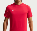 Nike Dry Park VIII dres