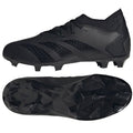 Adidas Predator Accuracy .3 FG