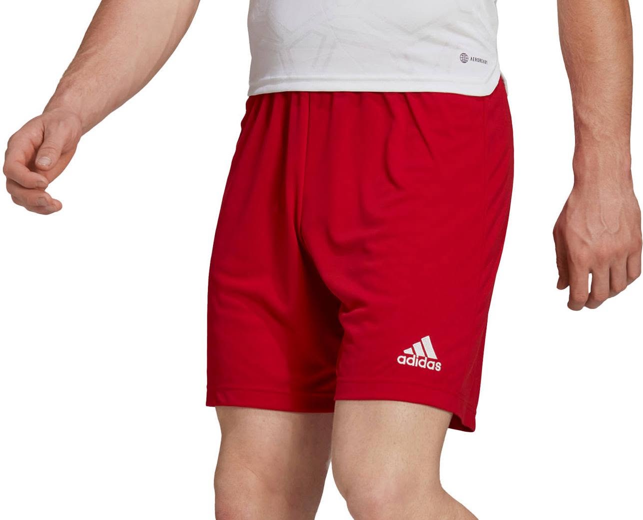 Adidas Entrada 22 šorc