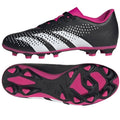 Adidas Predator Accuracy
