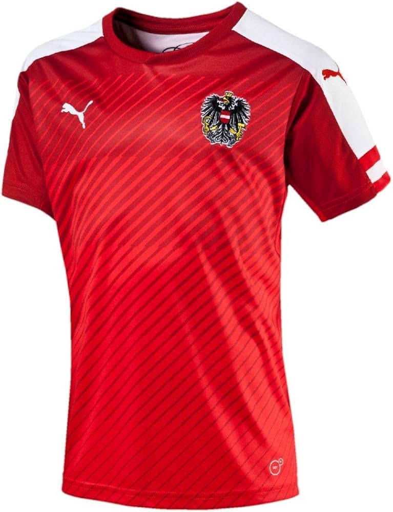 Puma dres Austrija