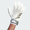 Adidas Predator Training