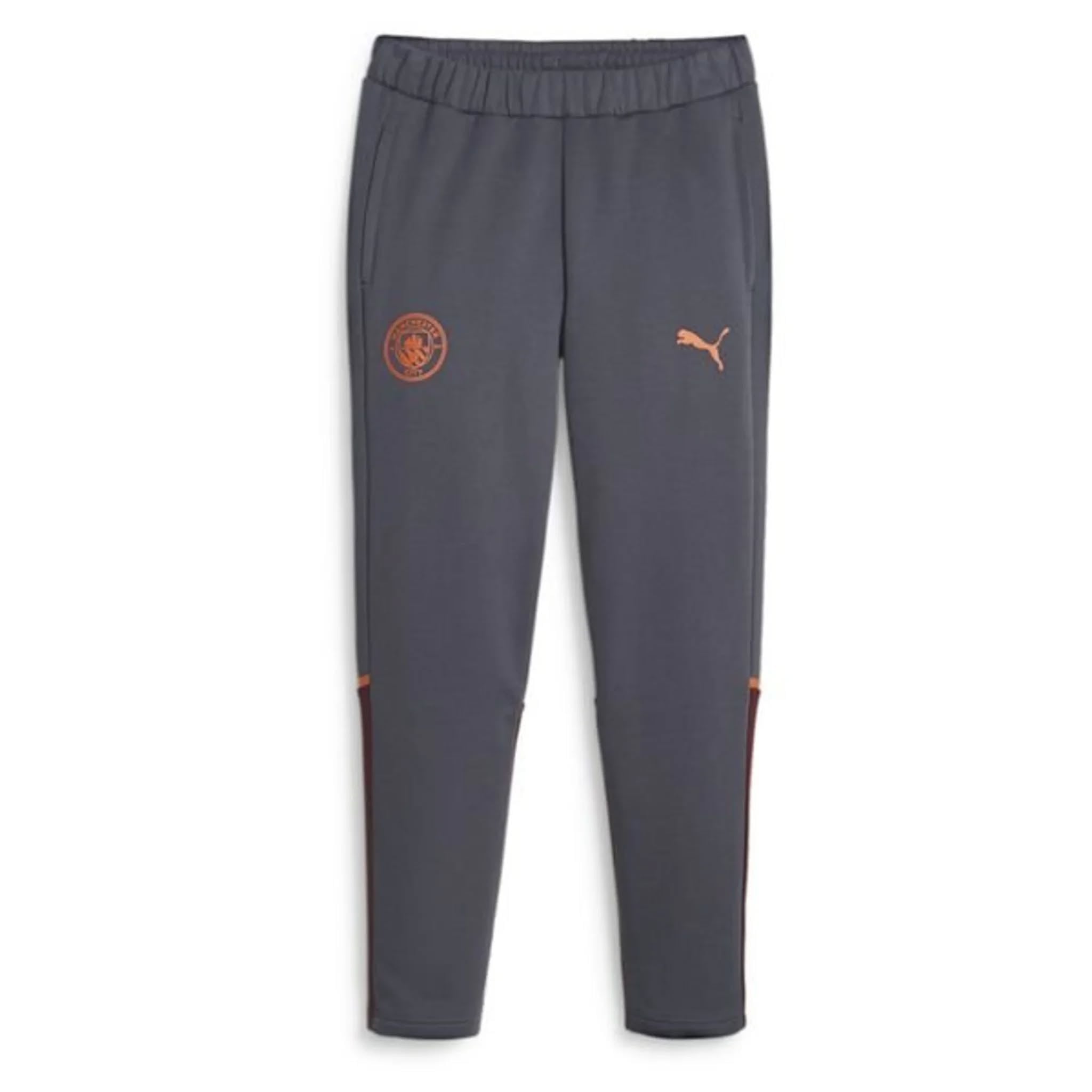 Puma Manchester City trenerka
