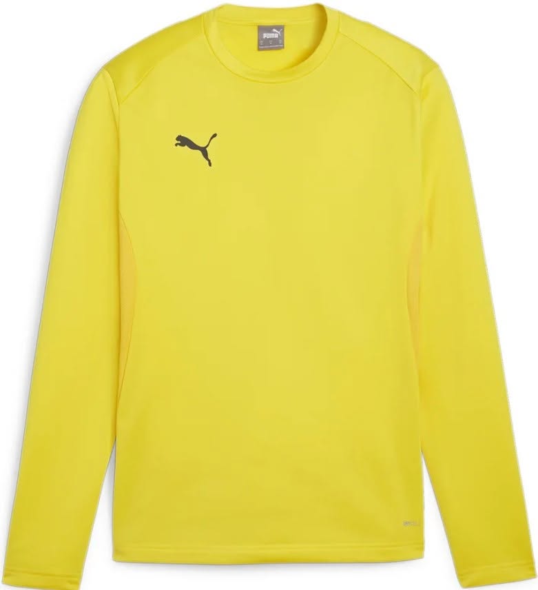 Puma TeamGoal 23 duks