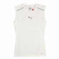 Puma podmajica